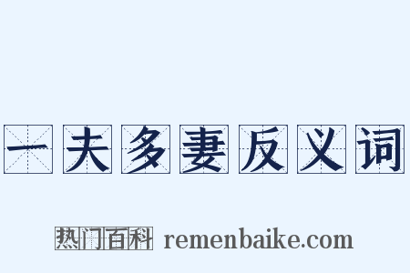 一夫多妻反义词是什么意思的图片